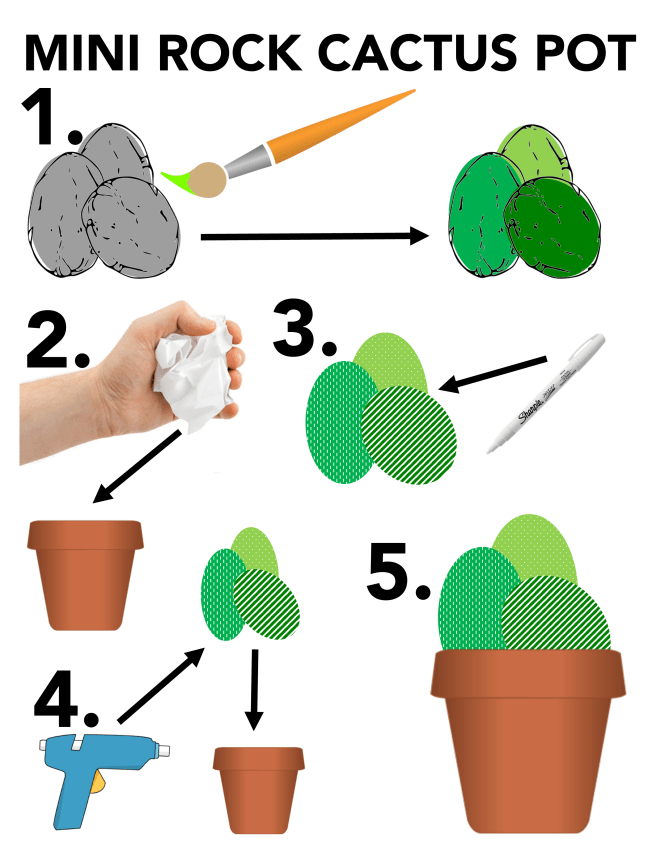 rock cactus pot infographic